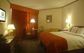 Туры в отель Holiday Inn