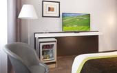 Туры в отель Hotel Diana Dauphine