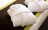 Туры в отель Hotel Diana Dauphine