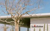 Туры в отель Chileno Bay Resort & Residences, Auberge Collection