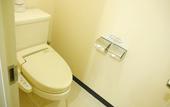 Туры в отель Hotel Regina Kawaguchiko