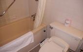 Туры в отель Hotel Regina Kawaguchiko