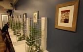 Туры в отель Samesun Vancouver - Hostel