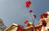 Туры в отель Madison Manor Boutique Hotel