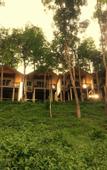 Туры в отель Khaosok River Home Resort