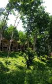 Туры в отель Khaosok River Home Resort