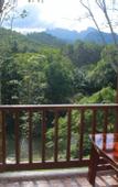 Туры в отель Khaosok River Home Resort
