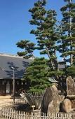 Туры в отель Miyajima Machiya Hotel Shiomachi-An