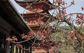 Туры в отель Miyajima Machiya Hotel Shiomachi-An