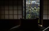 Туры в отель The Machiya Ebisuya