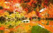 Туры в отель The Machiya Ebisuya