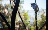 Туры в отель Wildlife Retreat at Taronga