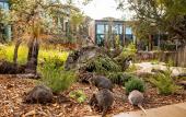 Туры в отель Wildlife Retreat at Taronga