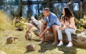 Туры в отель Wildlife Retreat at Taronga