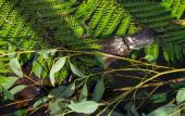 Туры в отель Wildlife Retreat at Taronga