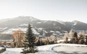 Туры в отель Santre dolomythic home