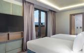 Туры в отель Doubletree By Hilton Plovdiv Center