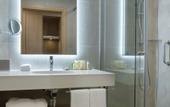 Туры в отель Doubletree By Hilton Plovdiv Center