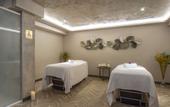 Туры в отель Doubletree By Hilton Plovdiv Center