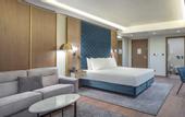 Туры в отель Doubletree By Hilton Plovdiv Center
