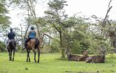 Туры в отель Lake Naivasha Sopa Resort