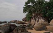 Туры в отель The Boathouse Pulau Tioman