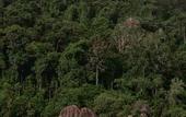 Туры в отель The Boathouse Pulau Tioman