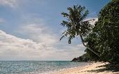 Туры в отель The Boathouse Pulau Tioman