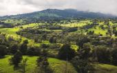 Туры в отель Hyatt Centric San Jose Escazu