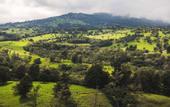 Туры в отель Hyatt Centric San Jose Escazu