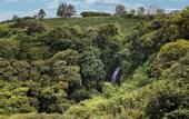 Туры в отель Hyatt Centric San Jose Escazu