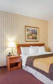 Туры в отель Quality Inn Toronto Airport