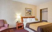 Туры в отель Quality Inn Toronto Airport