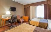 Туры в отель Quality Inn Toronto Airport