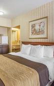 Туры в отель Quality Inn Toronto Airport