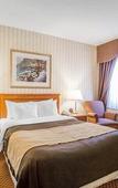 Туры в отель Quality Inn Toronto Airport