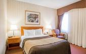 Туры в отель Quality Inn Toronto Airport