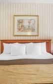 Туры в отель Quality Inn Toronto Airport