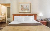 Туры в отель Quality Inn Toronto Airport