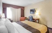 Туры в отель Quality Inn Toronto Airport