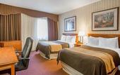 Туры в отель Quality Inn Toronto Airport