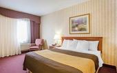 Туры в отель Quality Inn Toronto Airport