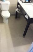 Туры в отель Quality Inn Toronto Airport