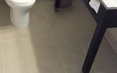 Туры в отель Quality Inn Toronto Airport