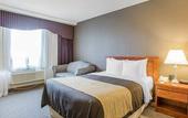 Туры в отель Quality Inn Toronto Airport