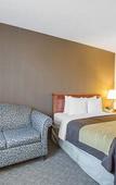 Туры в отель Quality Inn Toronto Airport