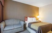 Туры в отель Quality Inn Toronto Airport