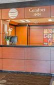 Туры в отель Quality Inn Toronto Airport