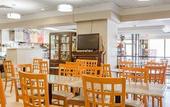 Туры в отель Quality Inn Toronto Airport