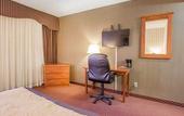Туры в отель Quality Inn Toronto Airport